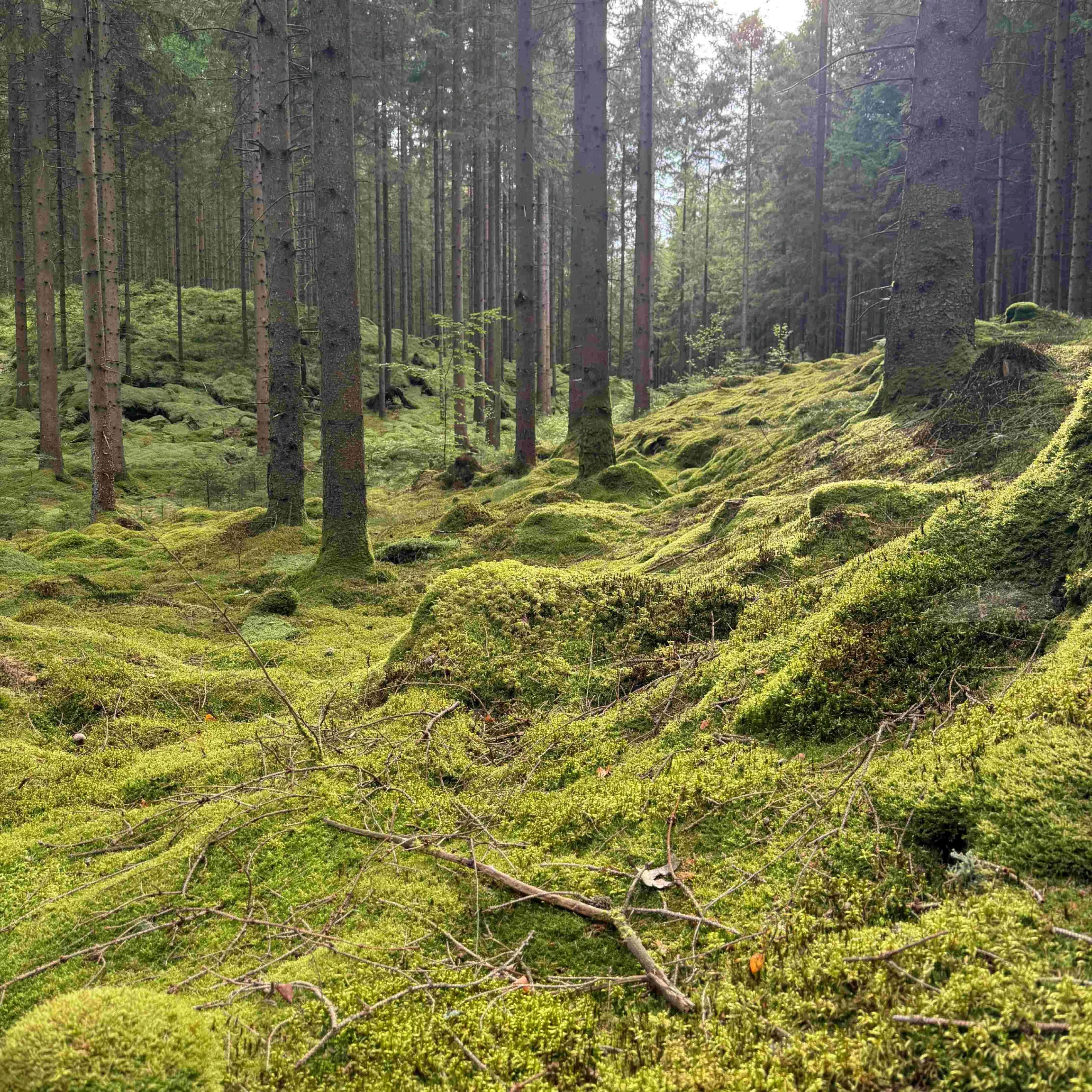Slik hjelper BRIX Norway byggherrer med å redusere klimaavtrykket i fasaden